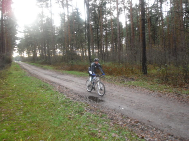 CTFAllertalJN 031